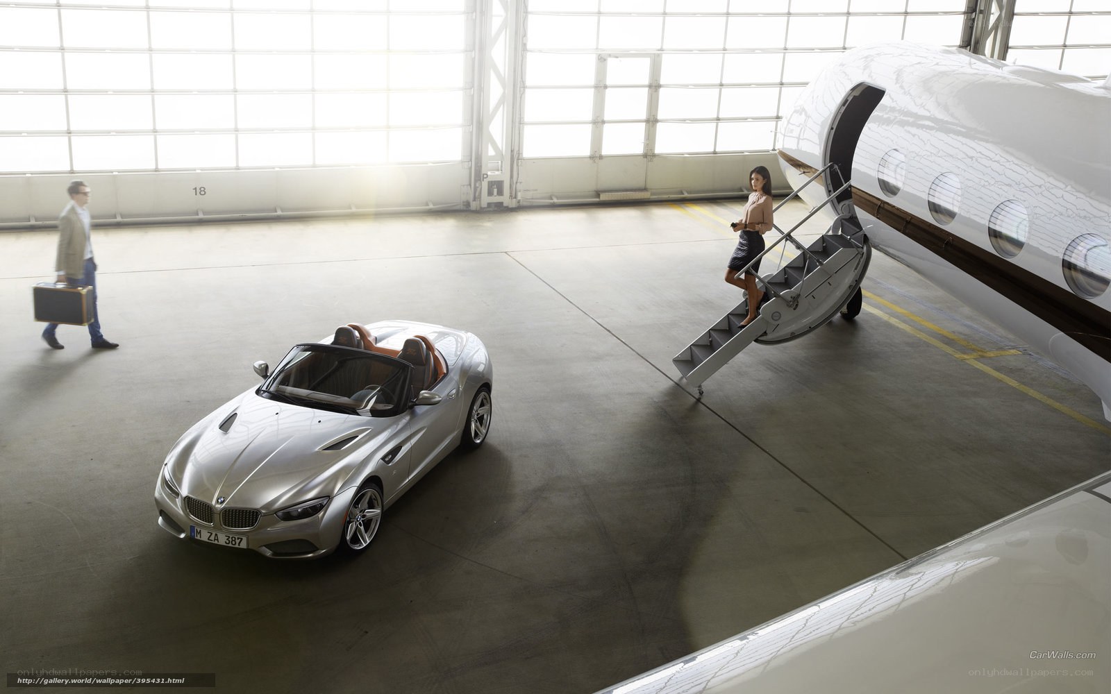 Luxury car and private jet