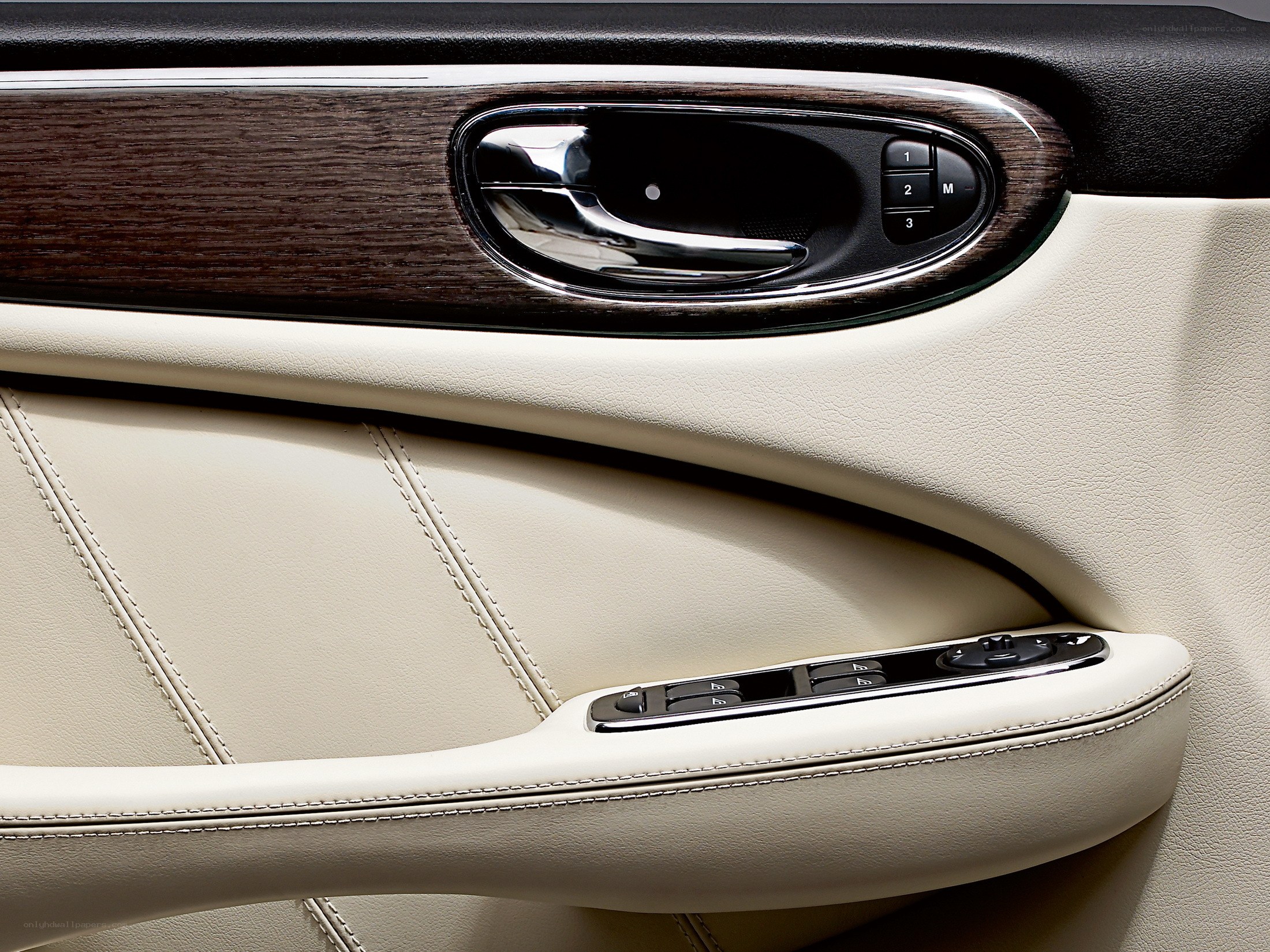luxury car door interior