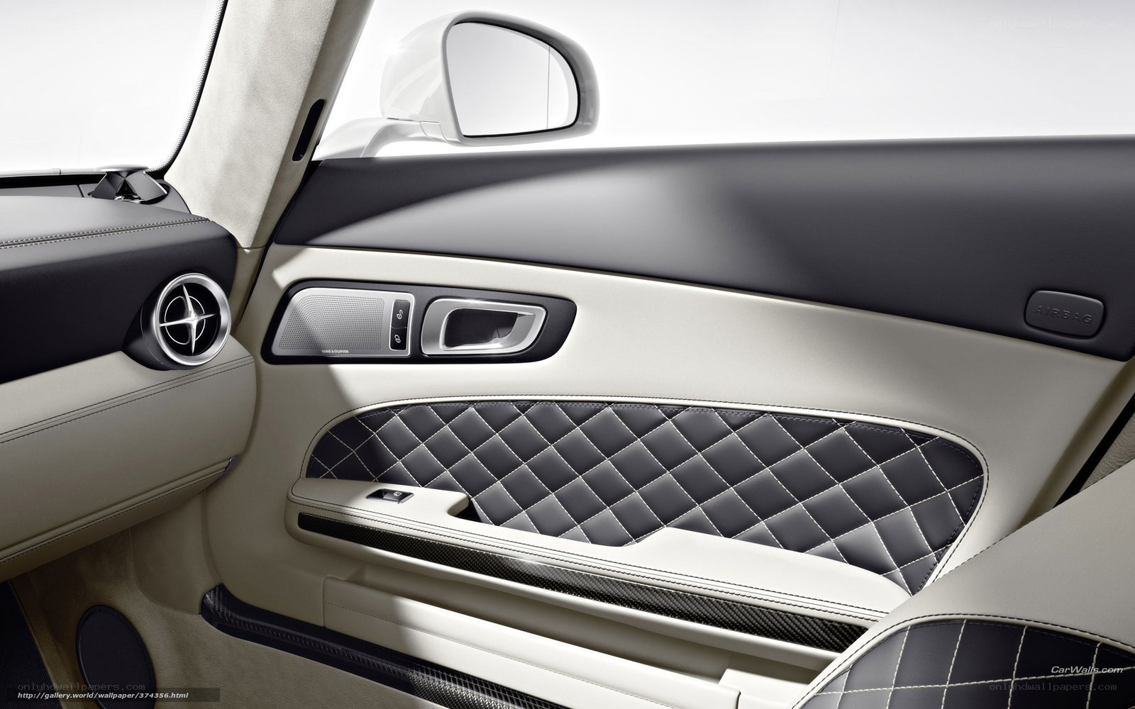 luxury car interior door panel