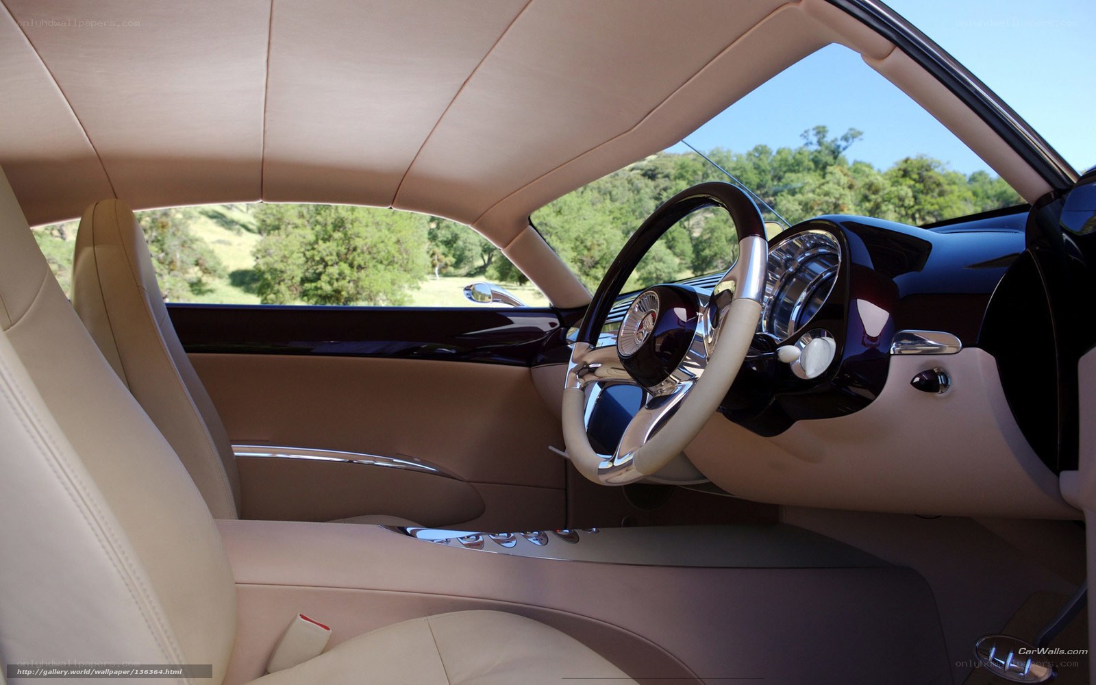 luxury car interior view