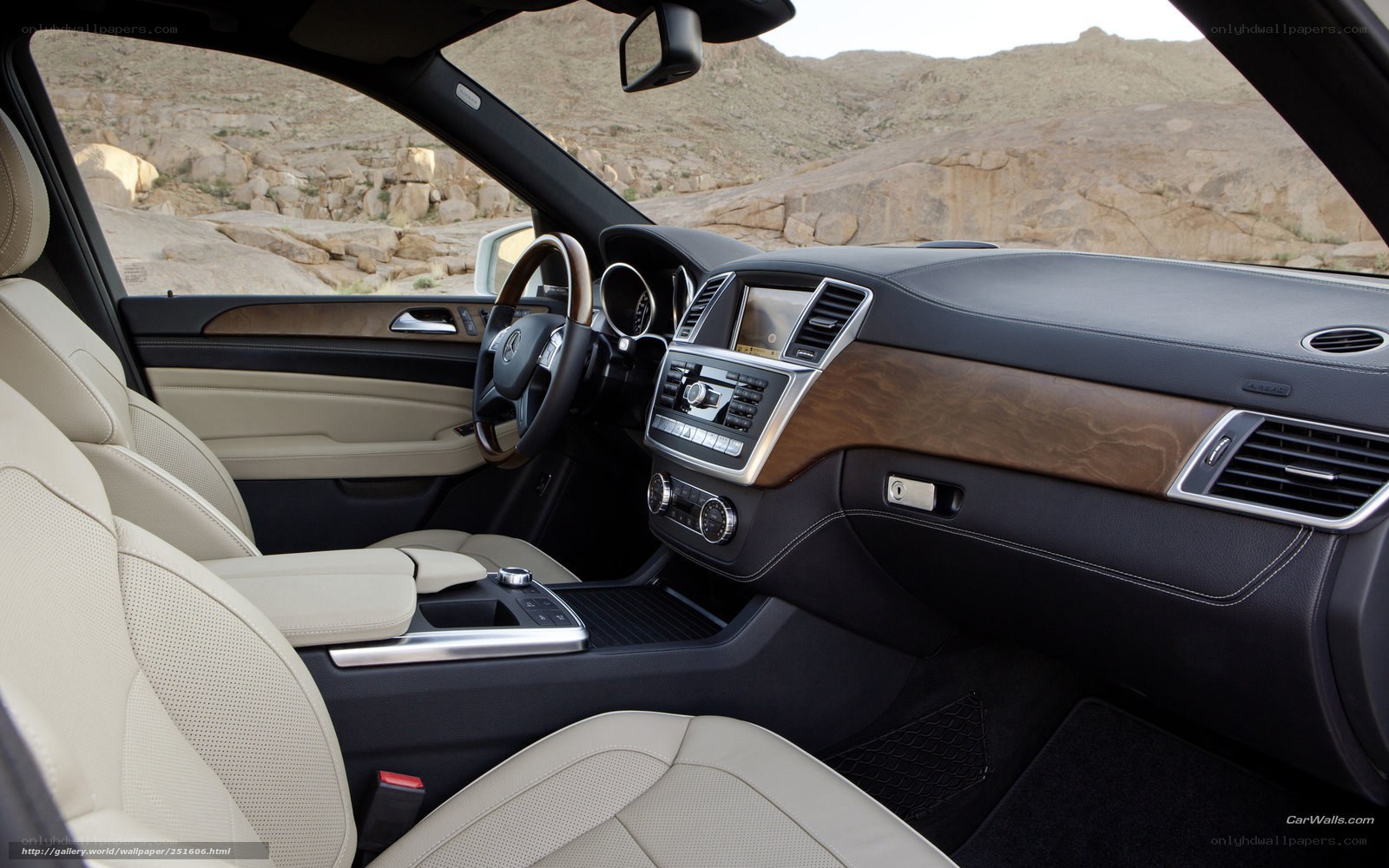 luxury car interior with desert view