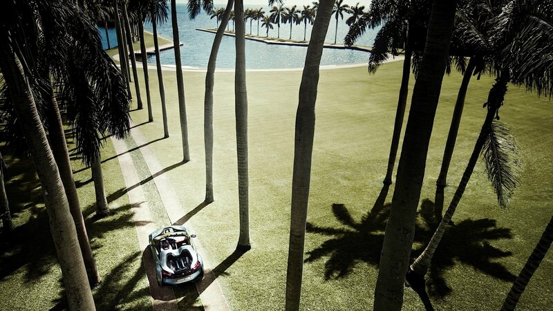 Luxury car on a tropical lawn