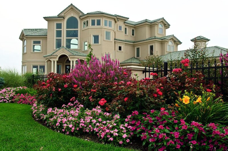 Luxury House with Flowers