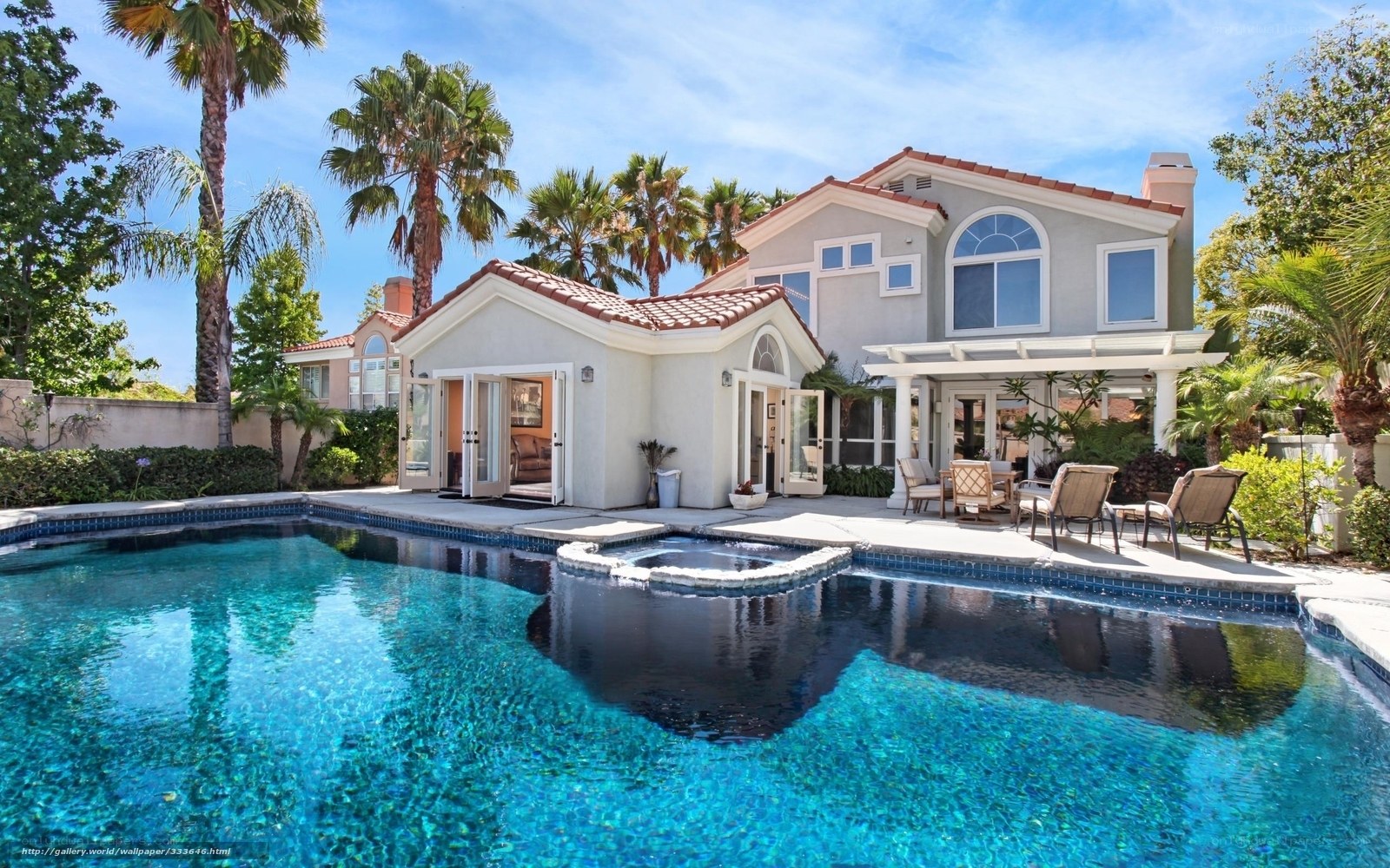Luxury pool house with palm trees