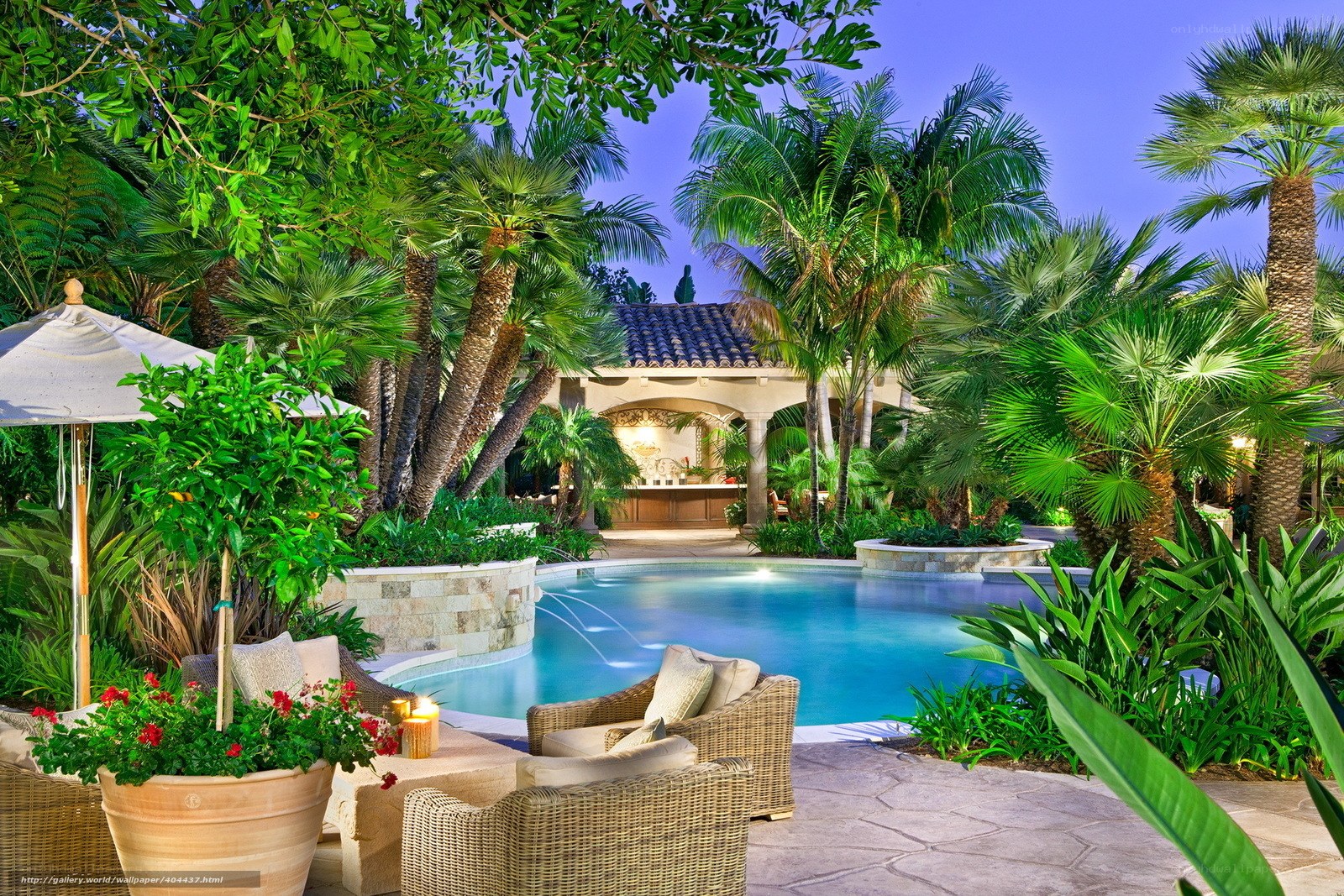 Luxury poolside garden at dusk