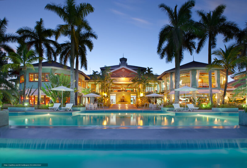 Luxury Resort at Dusk — Blue, Serene, Night, Photograph, Palm Trees