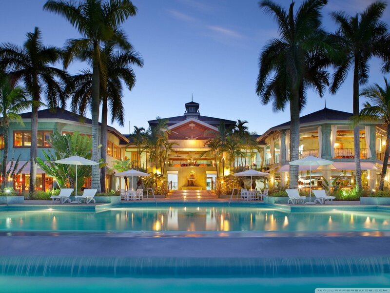 Luxury Resort at Dusk — Blue, Serene, Night, Photograph, Pool, Palm Trees