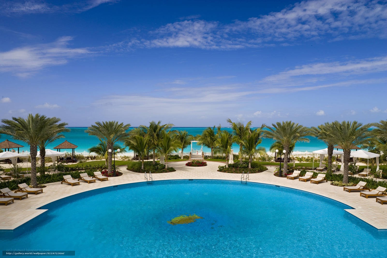 Luxury resort pool with ocean view