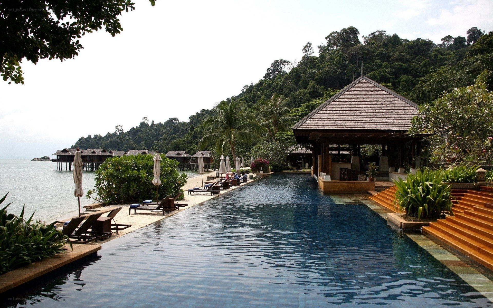 Luxury resort pool with ocean view