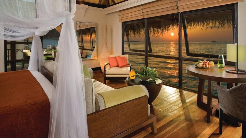 Luxury Resort Room — Brown