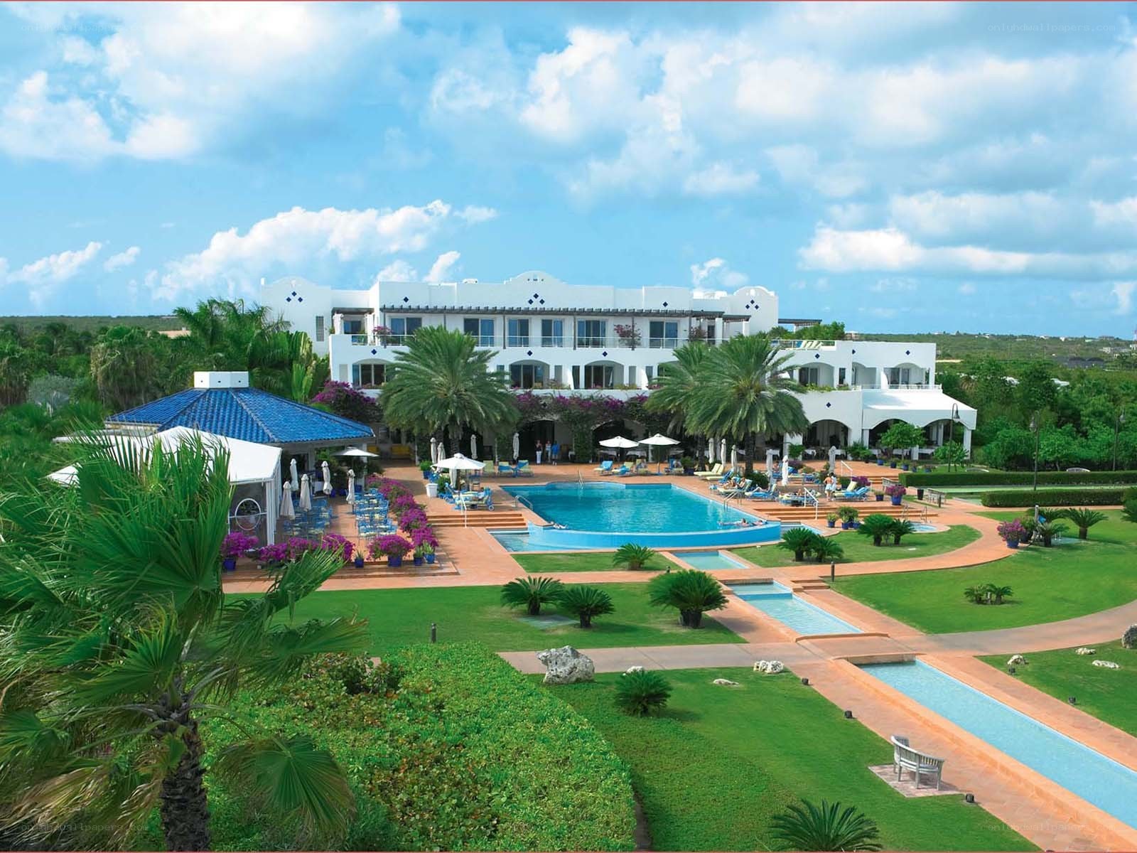 Luxury resort with pool and palm trees