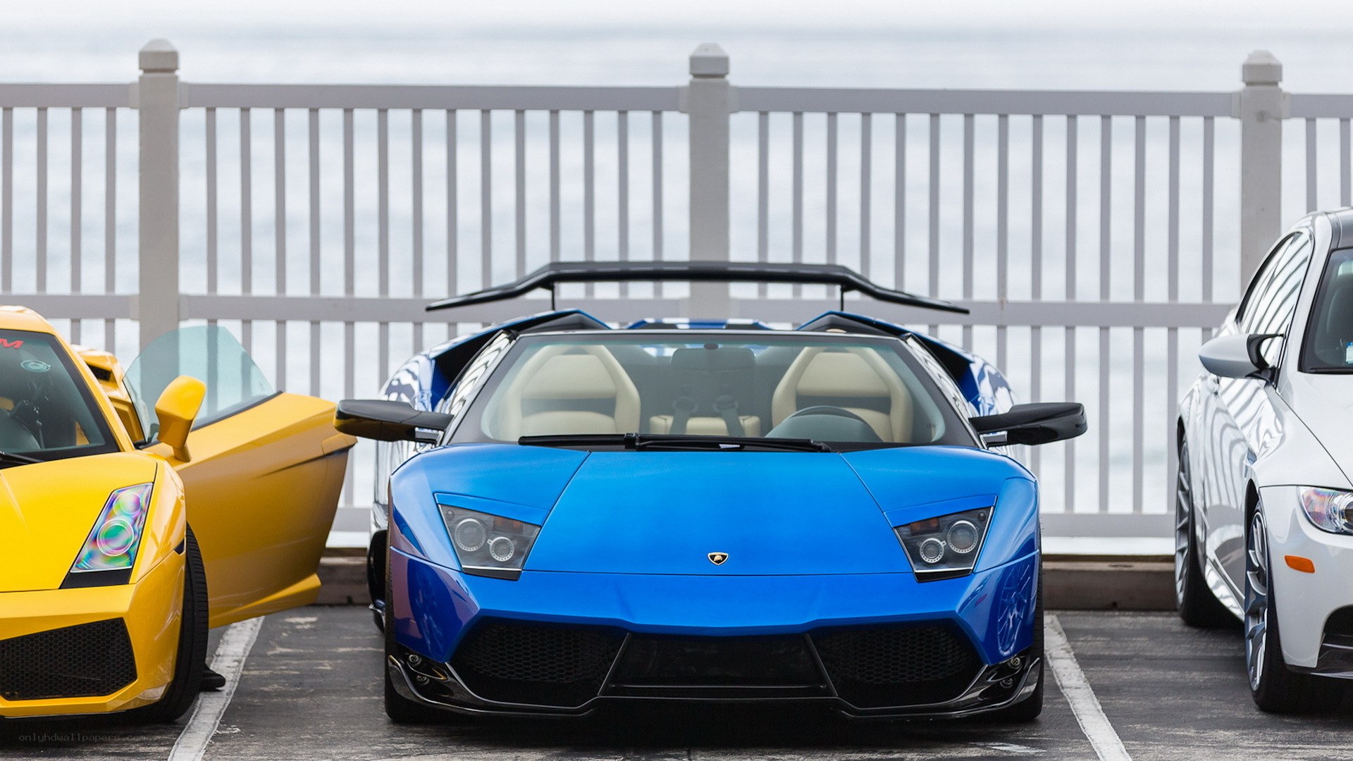 Luxury sports cars at the beach
