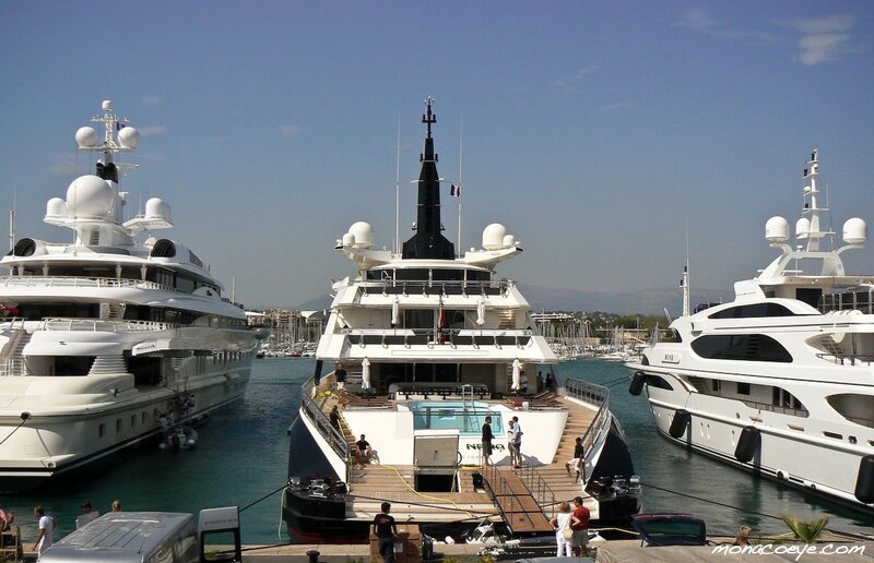 Luxury yachts in a marina