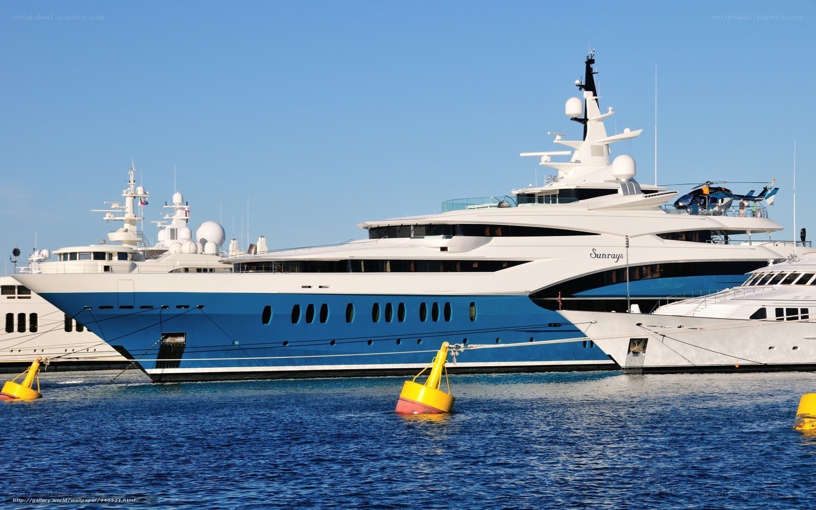 Luxury yachts in marina