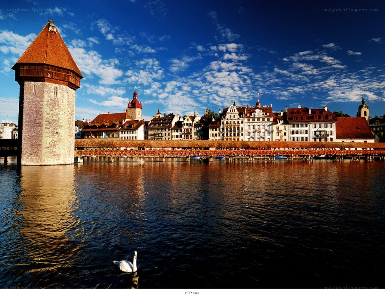 Luzern cityscape with swan