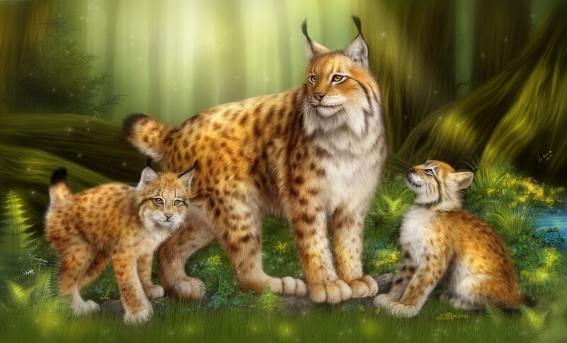 Lynx Family in Forest — Green, Serene