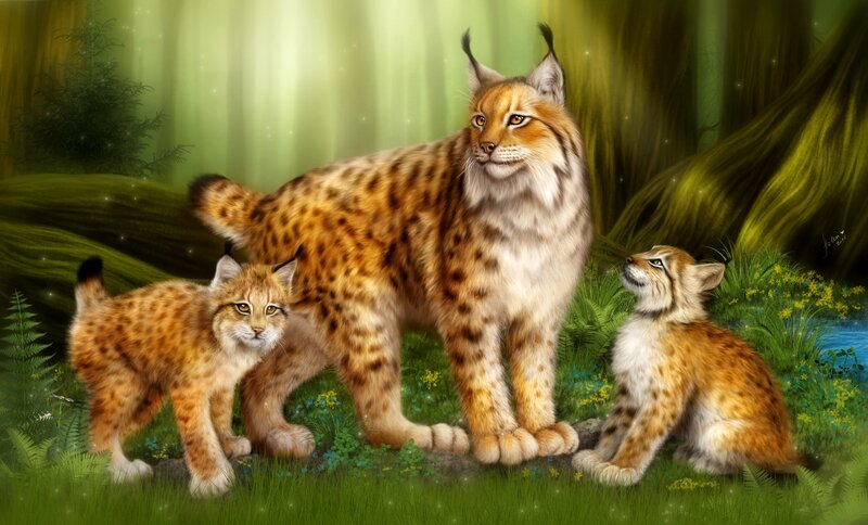Lynx Family in Forest — Green