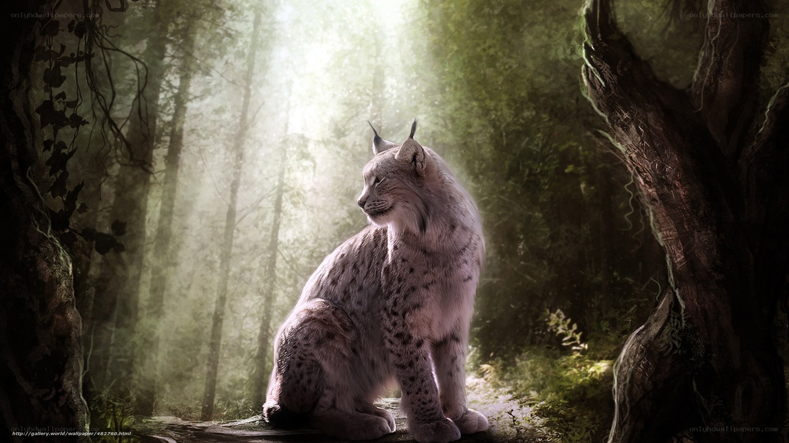 Lynx in a sunlit forest