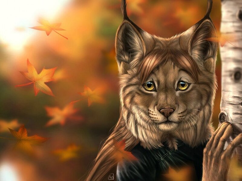 Lynx in Autumn Forest — Brown