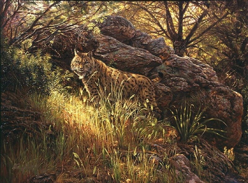 Lynx in Forest — Brown, Natural