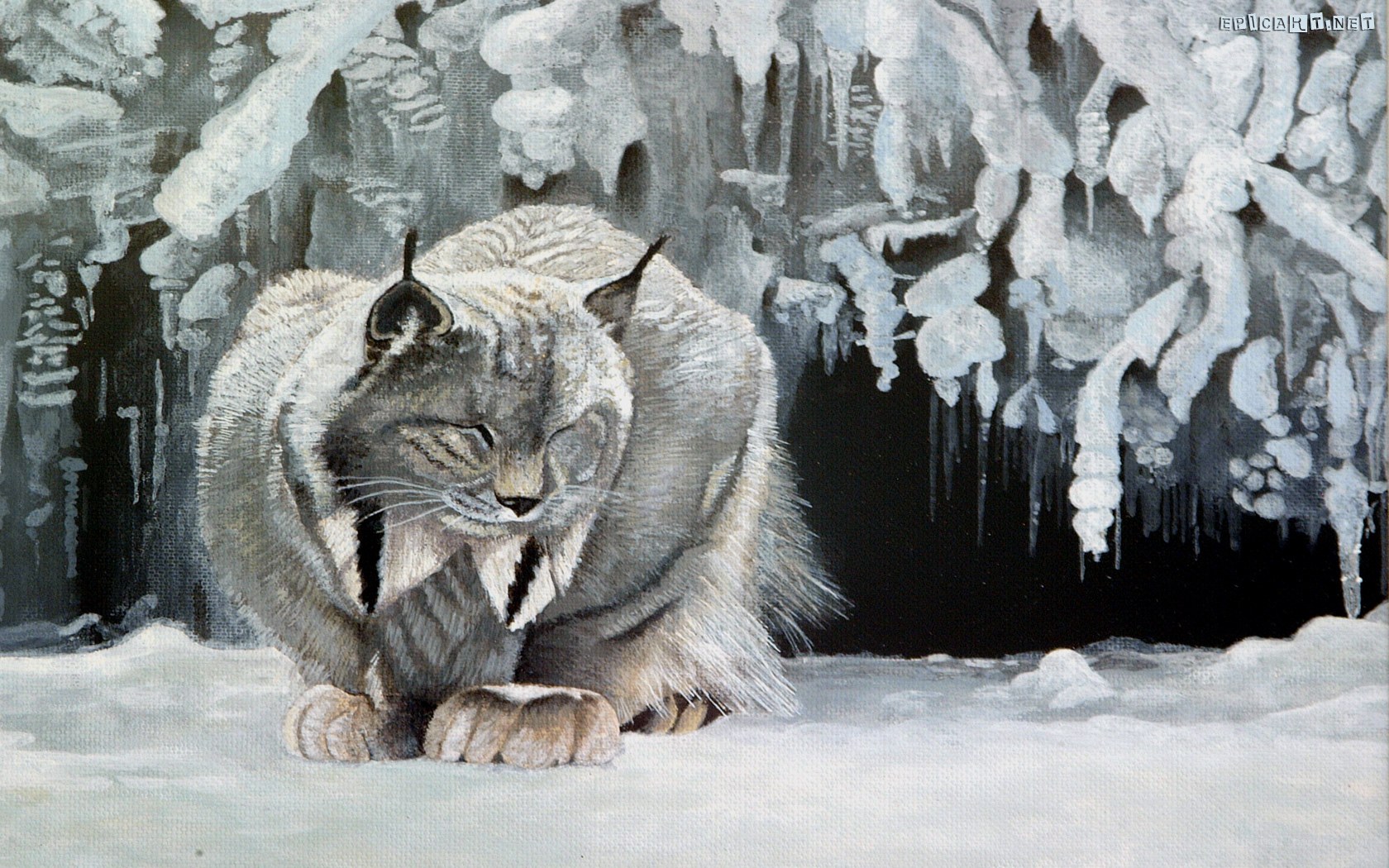 Lynx in snowy cave