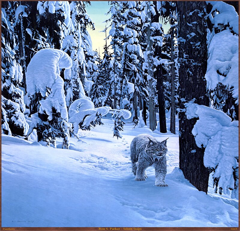 Lynx in Snowy Forest — White, Serene