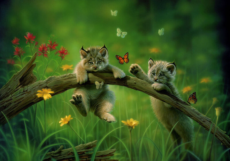 Lynx Kittens on Branch — Green