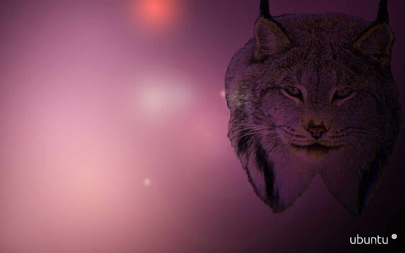 Lynx on purple background