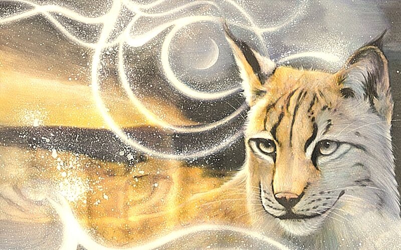 lynx with celestial swirl