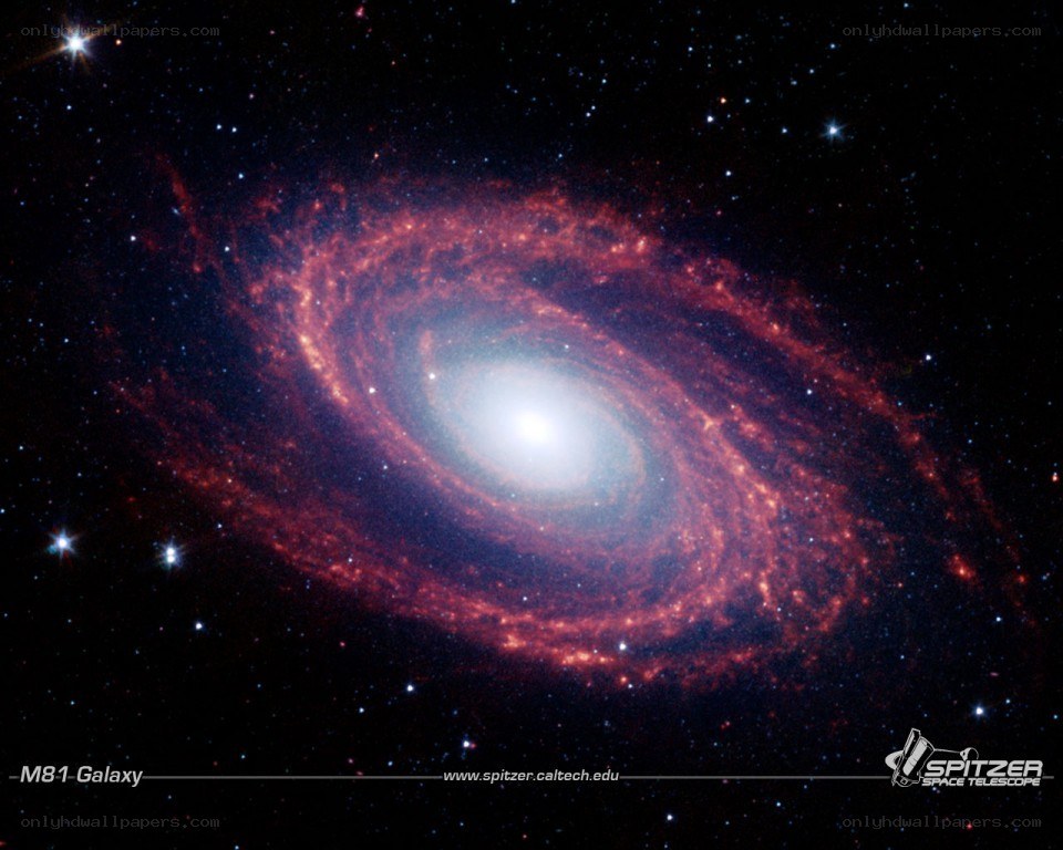 M81 Galaxy in Space