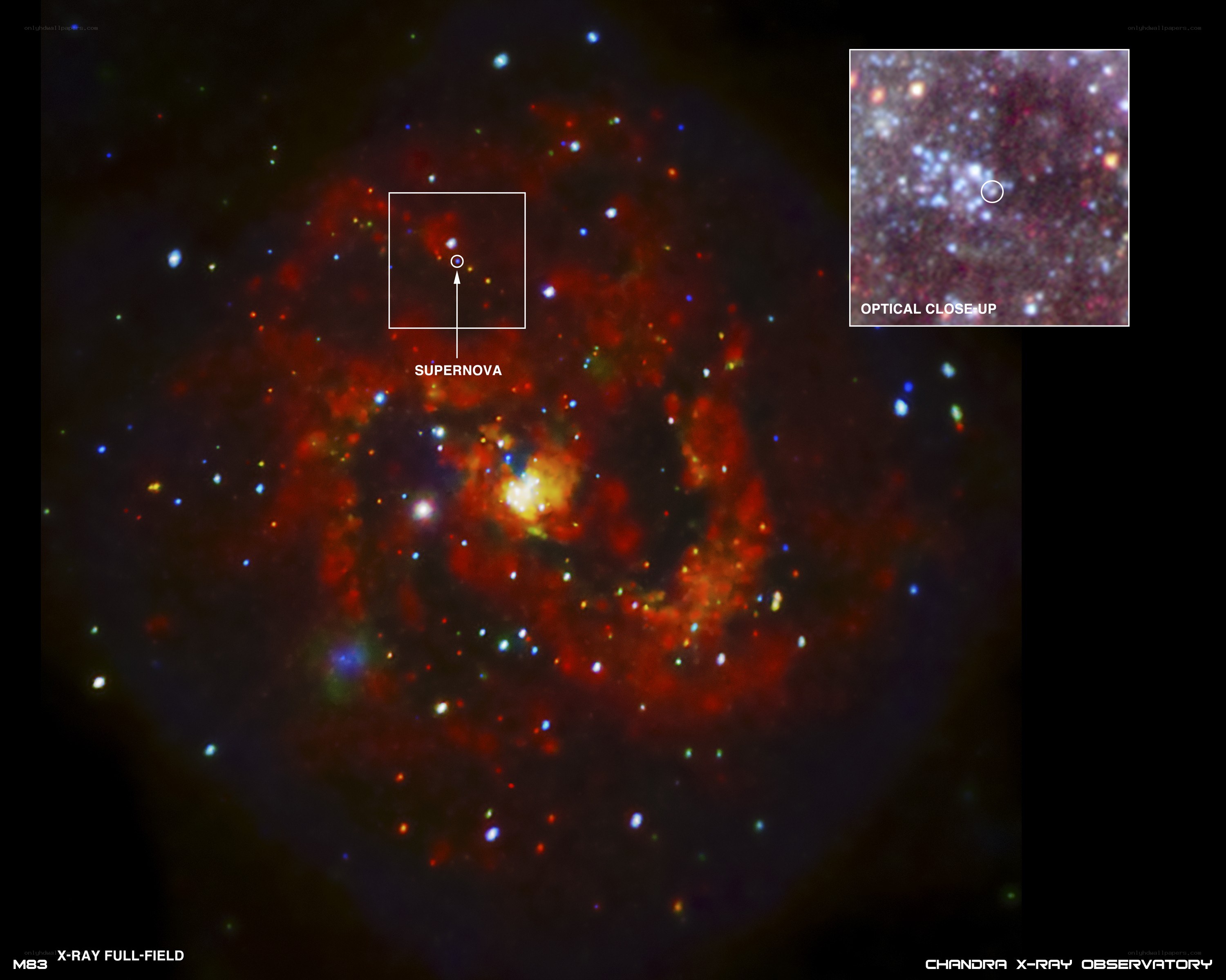M83 Supernova in X-ray