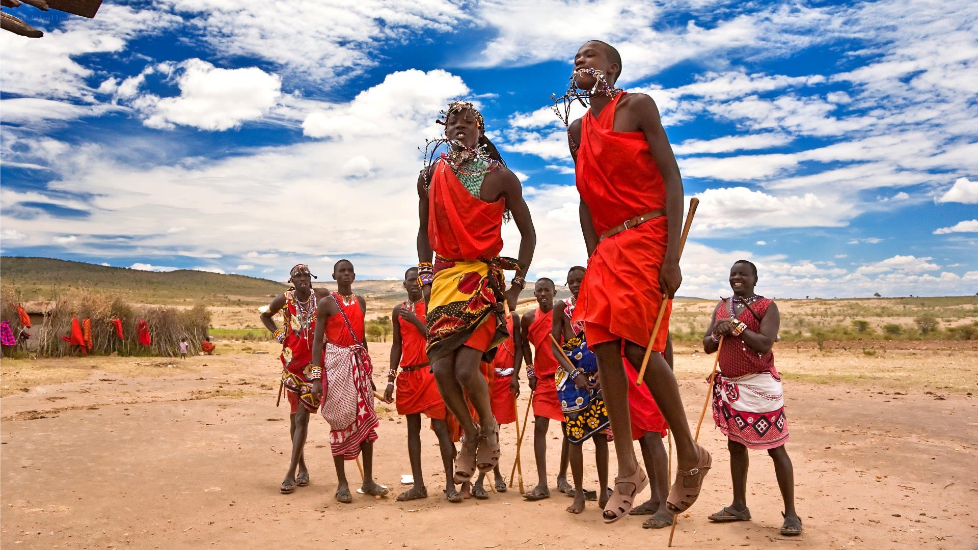Maasai warriors performing a jump