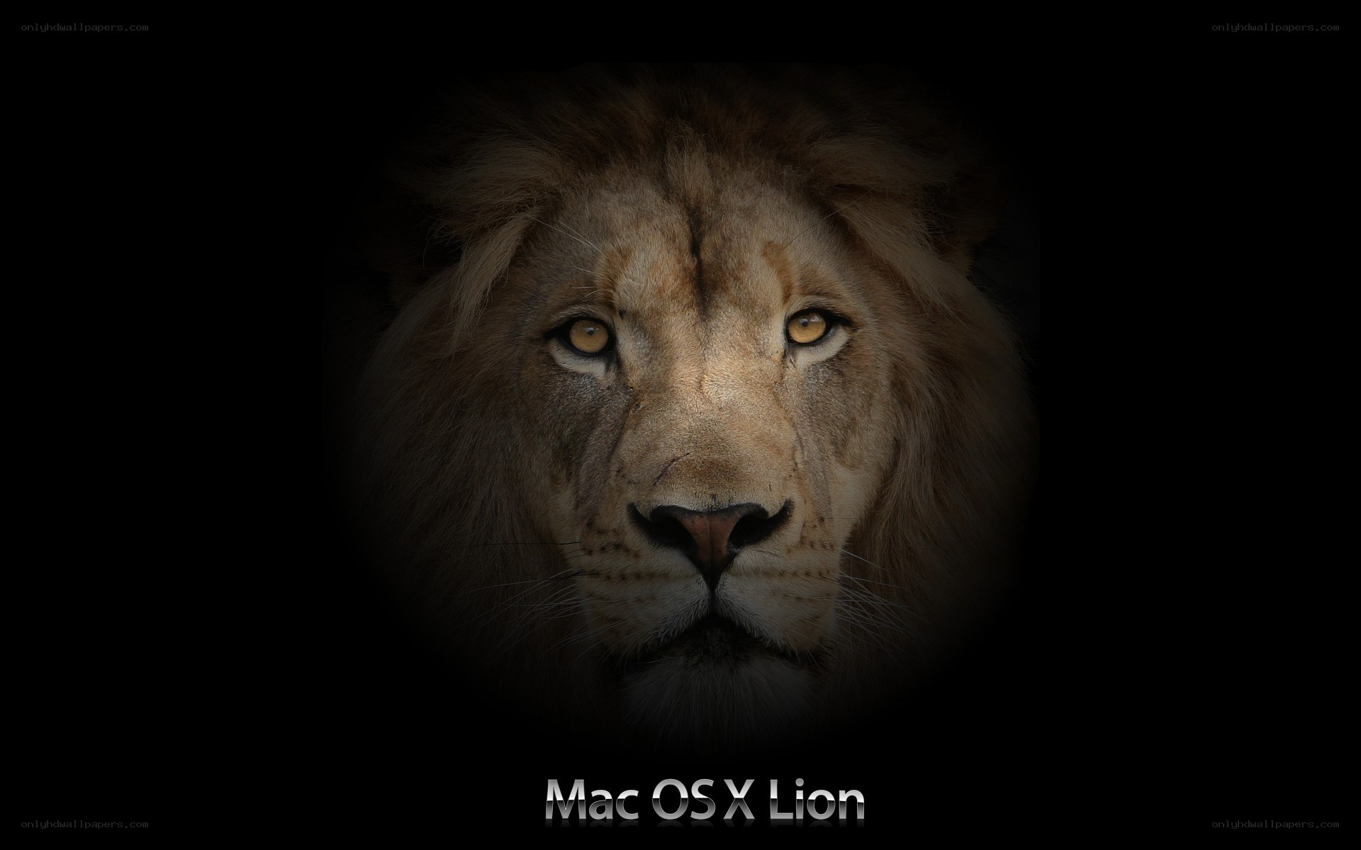 Mac OS X Lion logo