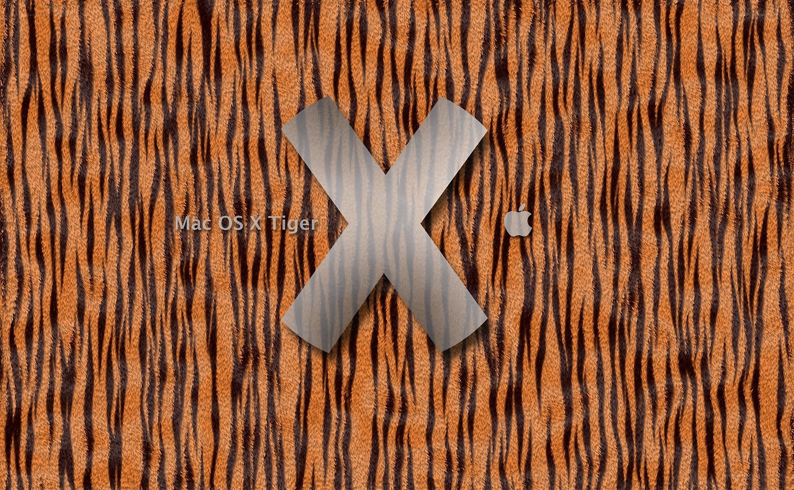 Mac OS X Tiger desktop