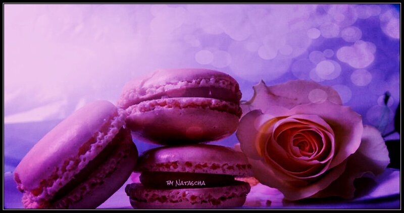 Macarons and Rose
