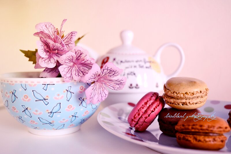 Macarons and Tea Set