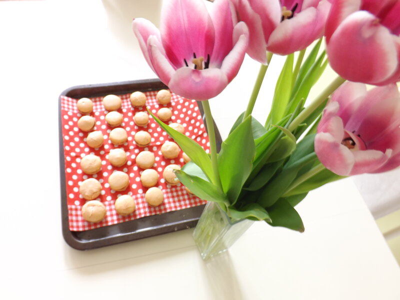 Macarons and Tulips