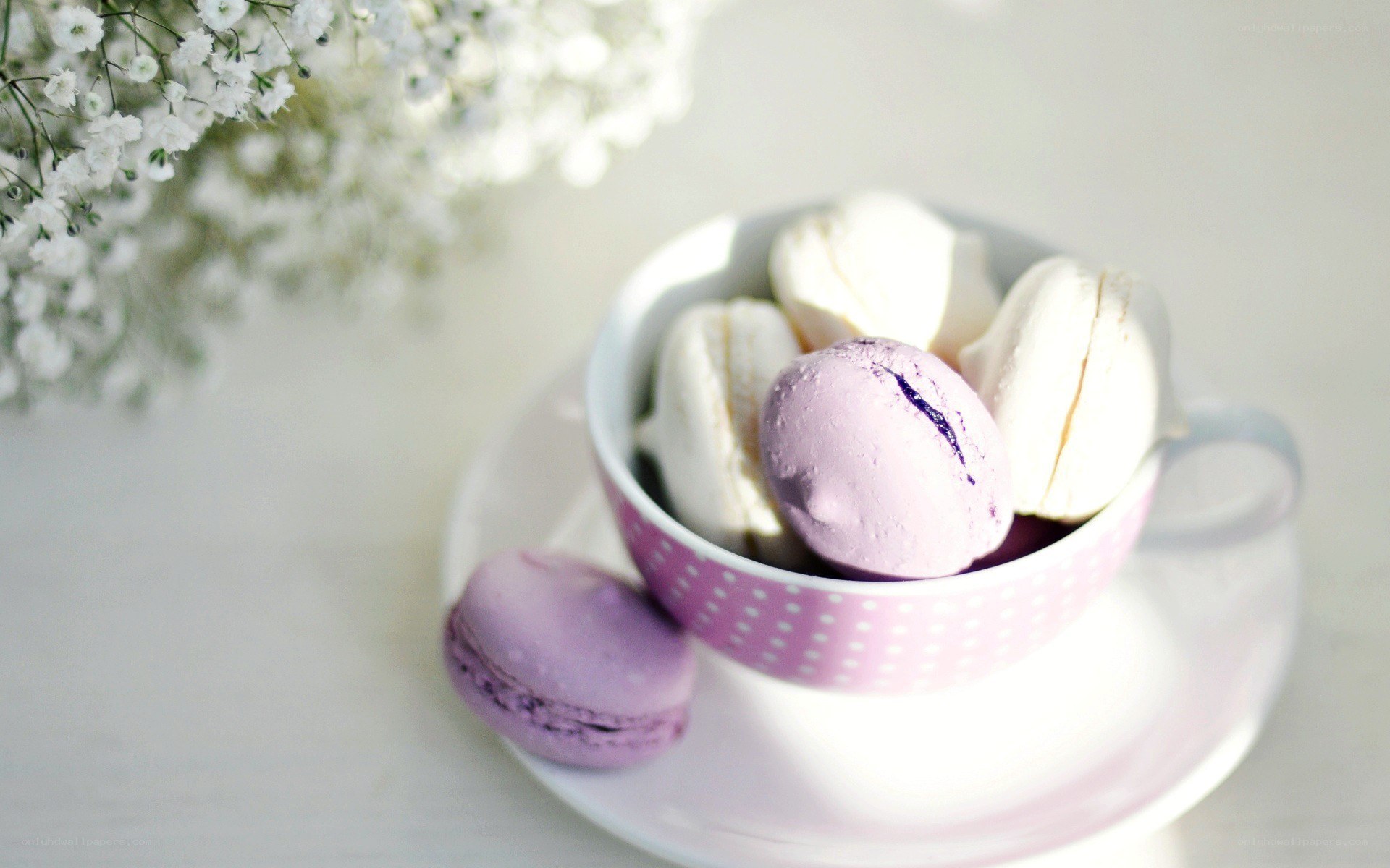 Macarons in a teacup