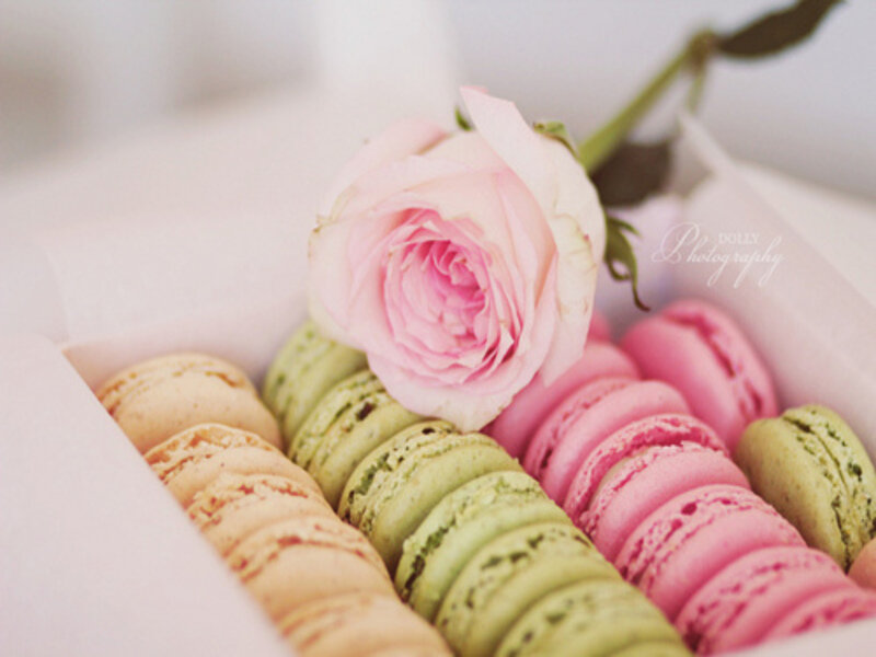 Macarons with Rose