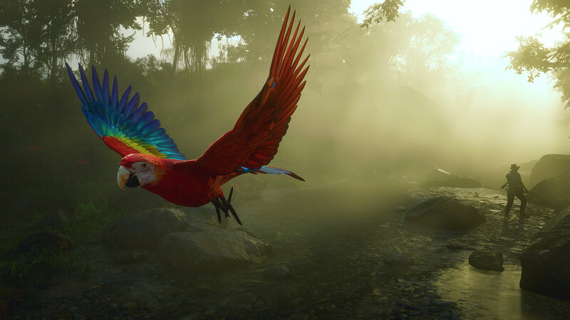 Macaw Flying over Stream