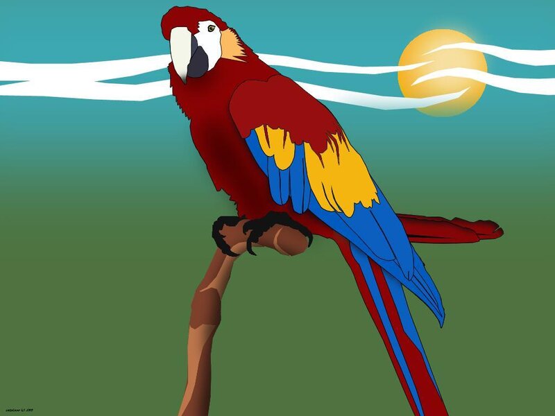Macaw on a Branch — Red, Calm, Sunset