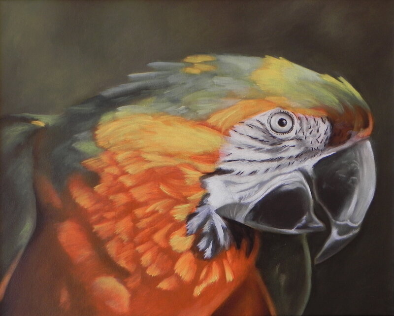 Macaw Parrot Head — Orange