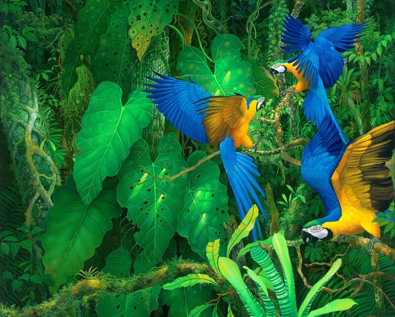 Macaws in Jungle — Green, Lush