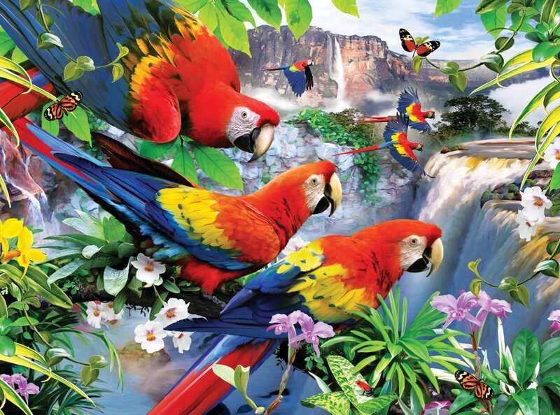 Macaws in Jungle