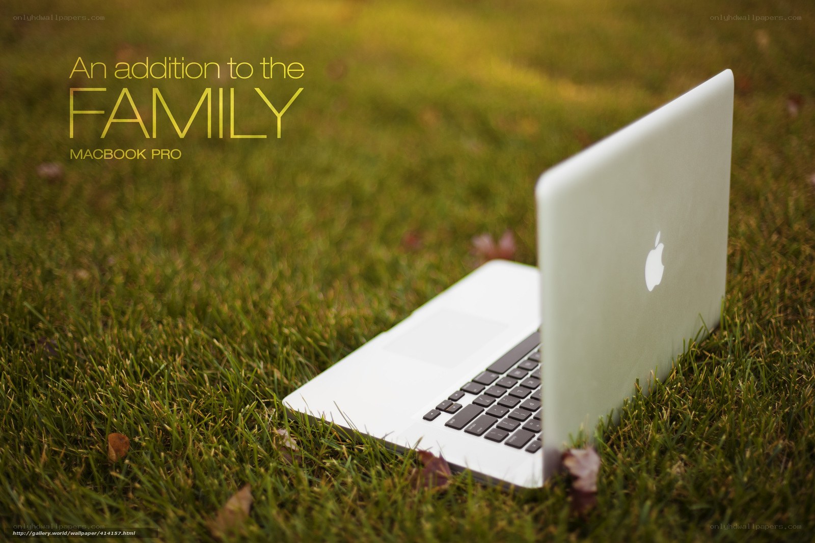 MacBook Pro on grass