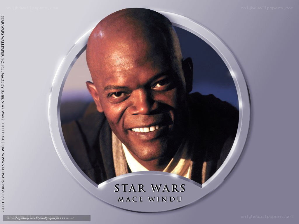 Mace Windu from Star Wars
