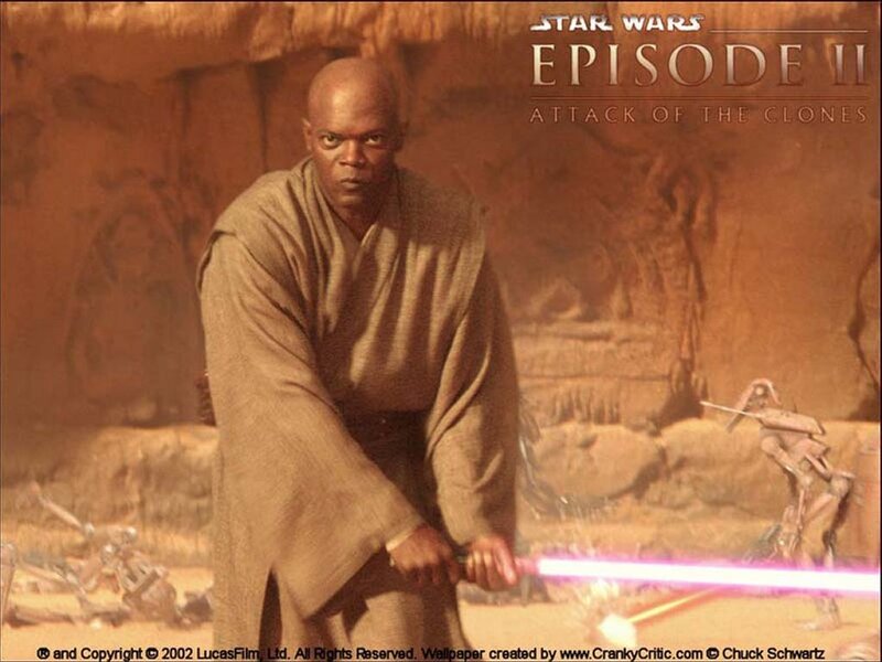 Mace Windu with Lightsaber — Brown, Dramatic
