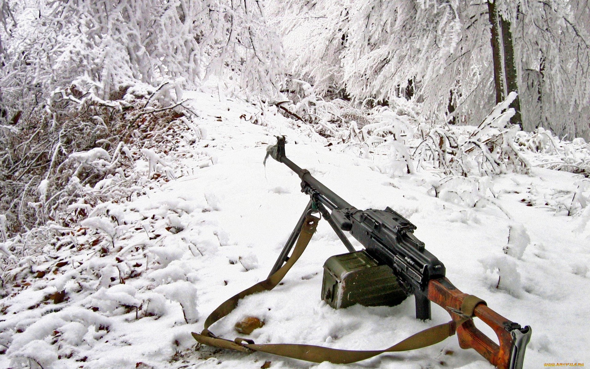 Machine gun in snowy forest