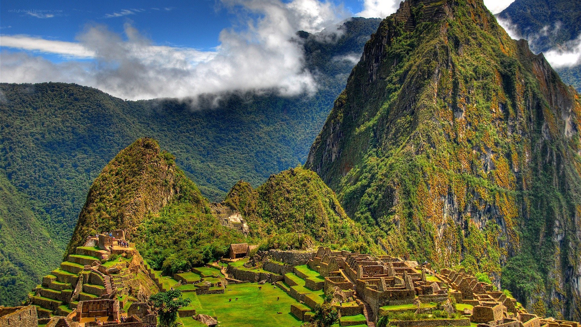 Machu Picchu ancient ruins