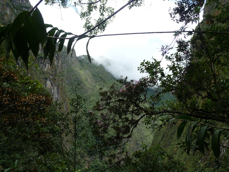 Machu Picchu mountain view